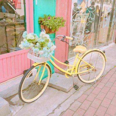 澳门精准正版资料大全app下载