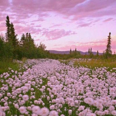 beat365官方app最新版